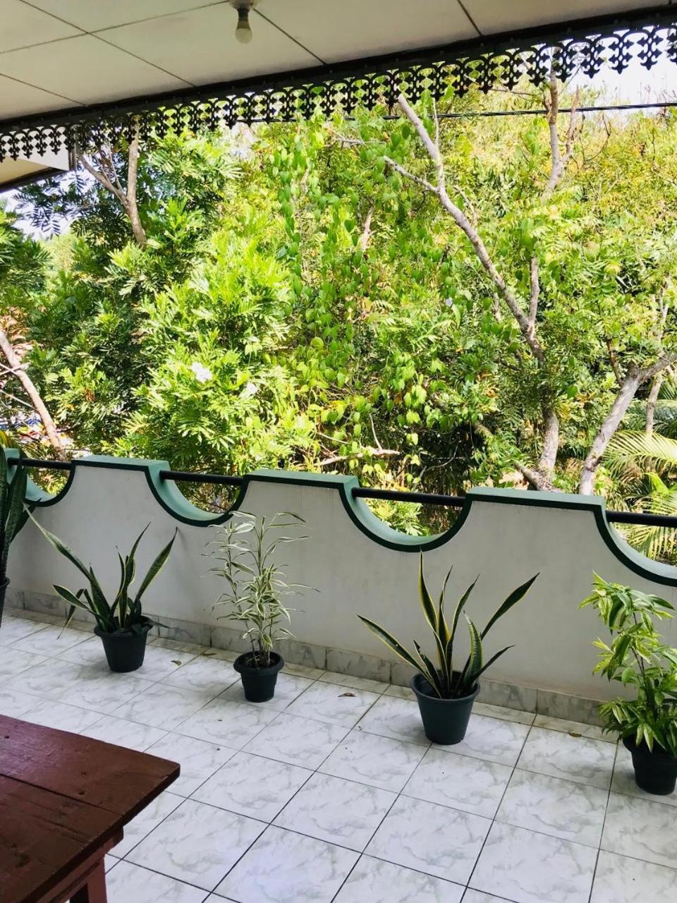 Dana Guest Home ميريسا المظهر الخارجي الصورة